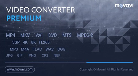 Movavi Video Converter 19